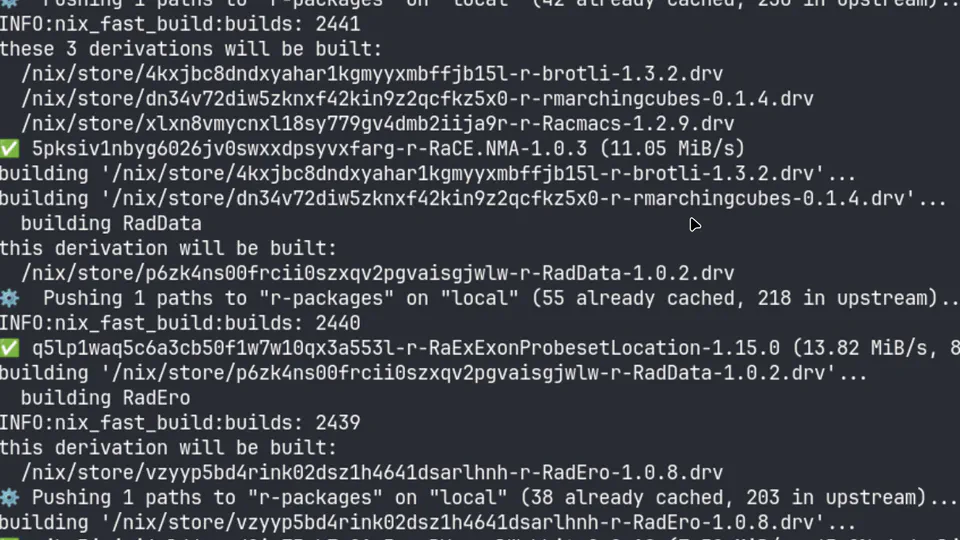 R Packages Nix Binary Cache