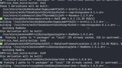 R Packages Nix Binary Cache featured image