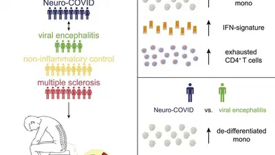 Neuro-COVID featured image