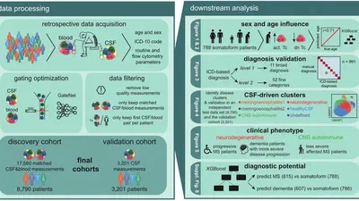 Atlas of cerebrospinal fluid immune cells across neurological diseases. featured image